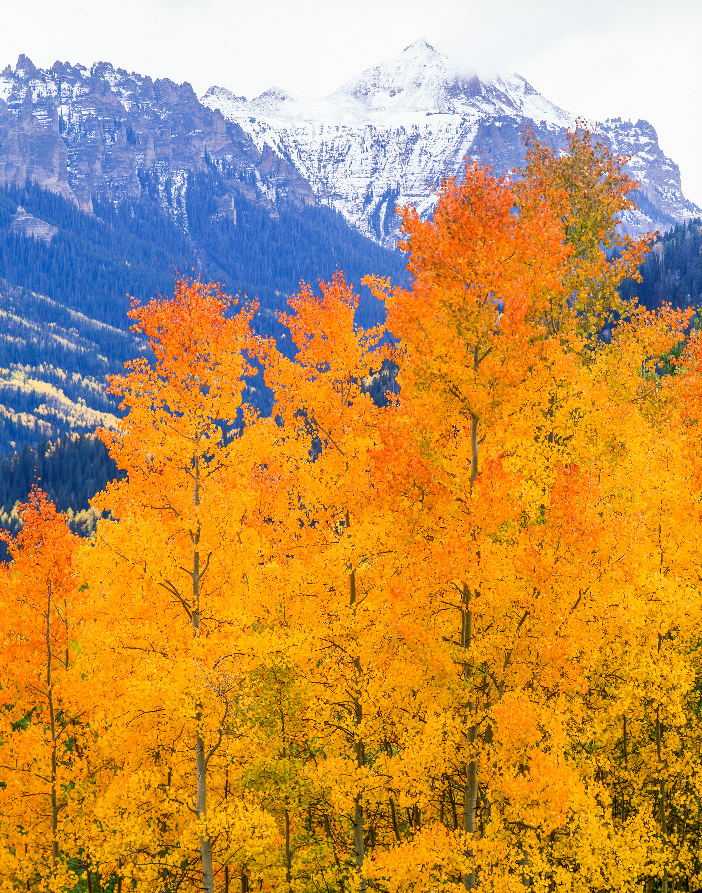 The western slope