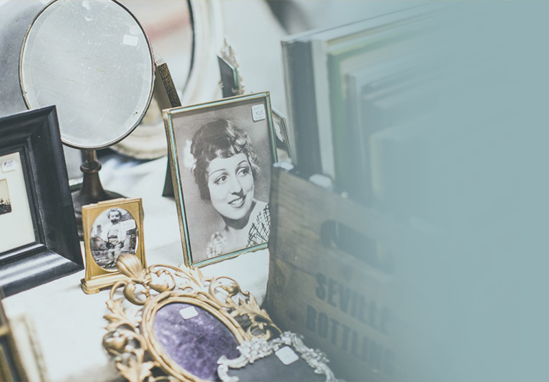 Explore The Collection