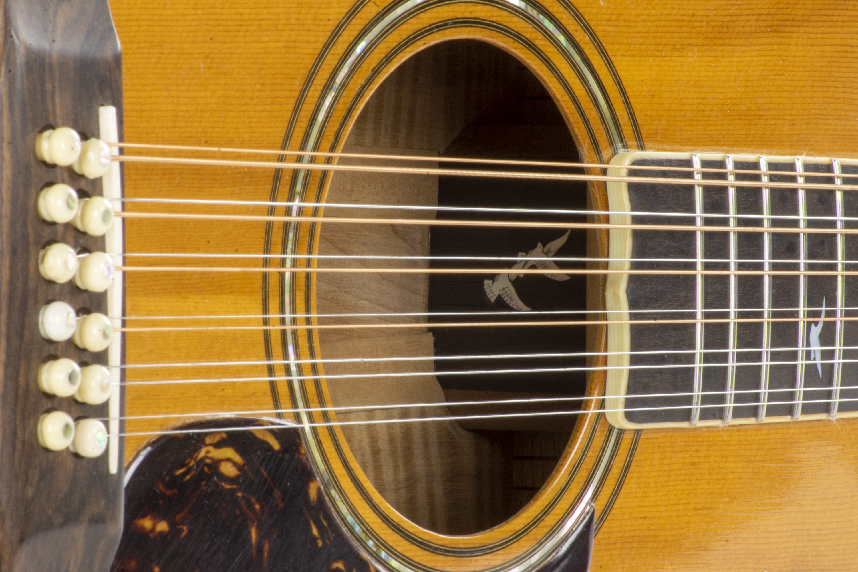 Birds inside John Denver’s guitar currently on view in the John Denver Experience