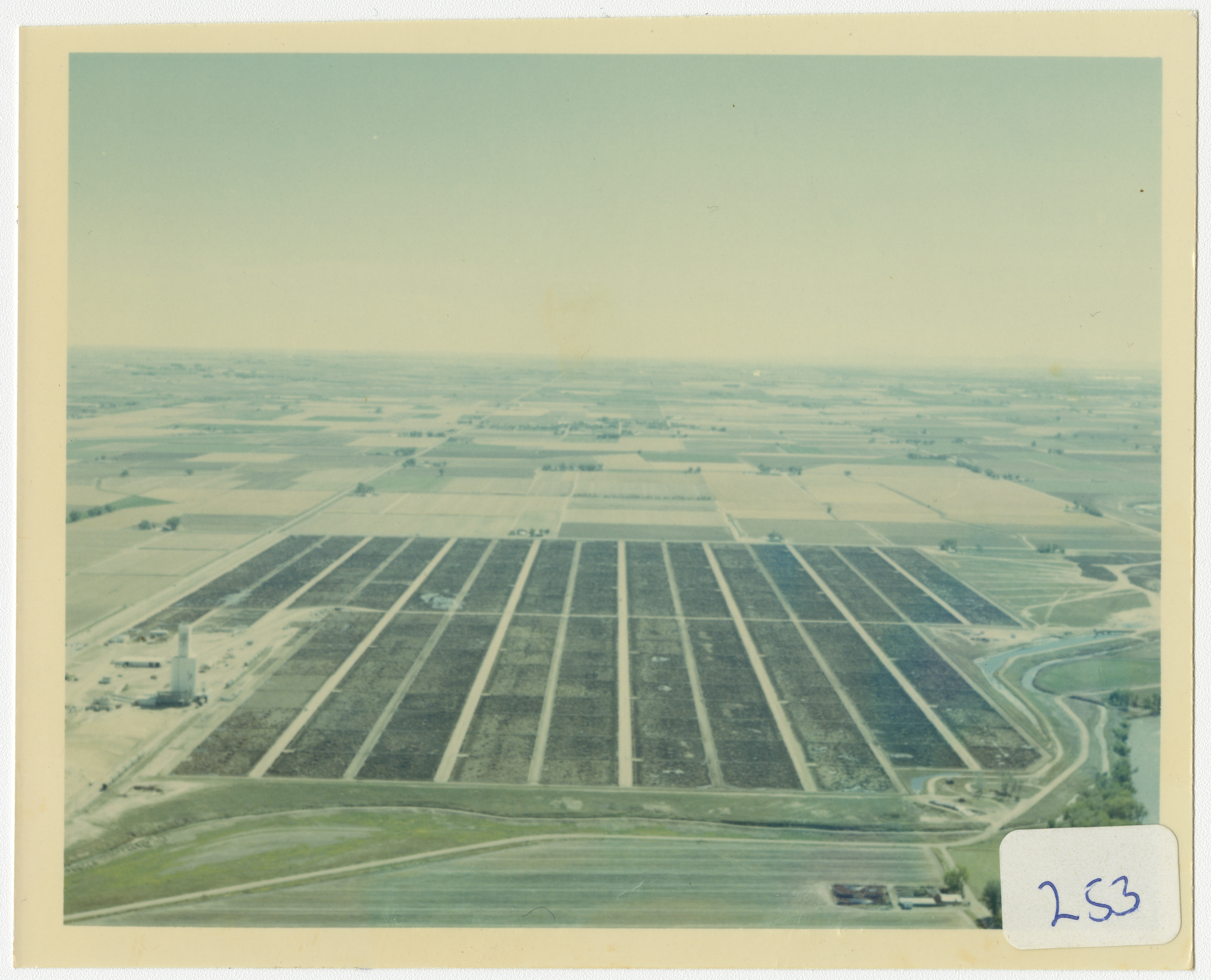 One of Monfort of Colorado's feedlots, ca. 1970.