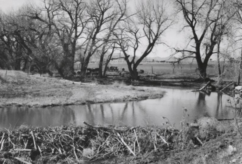 A beaver dam on Greenhorn Creek near Colorado City, just east of the Spanish Peaks