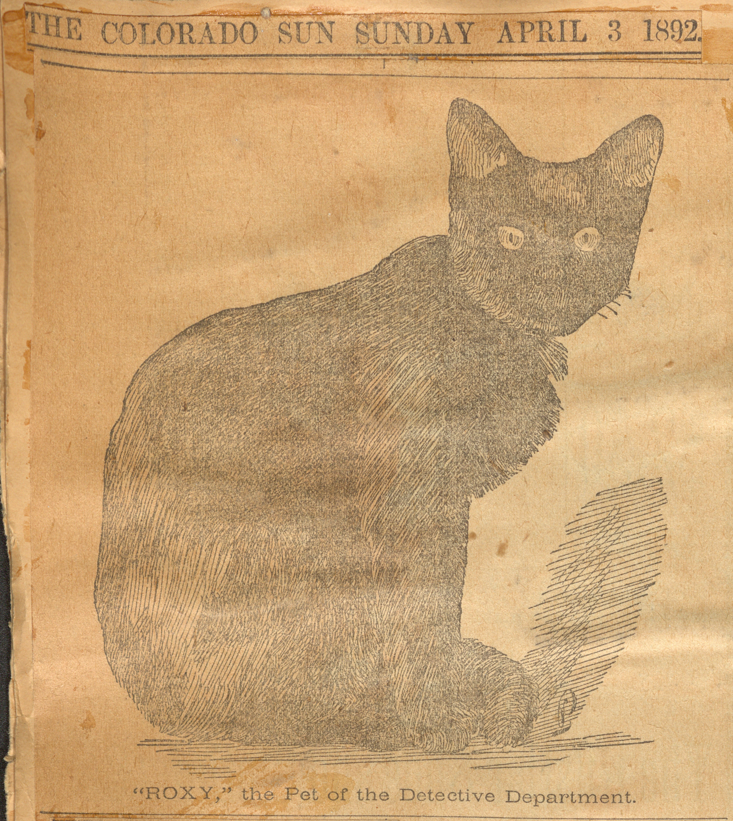 Roxy the Cat, with the caption: "ROXY, Pet of the Detective Department."