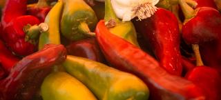 Pueblo Chile
