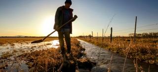 Acequia Work