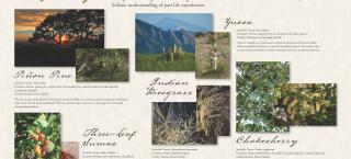 AHPM 2019 Poster