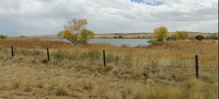 picture of a field.