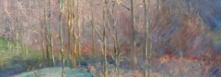 Catkin painting by Anne Evans