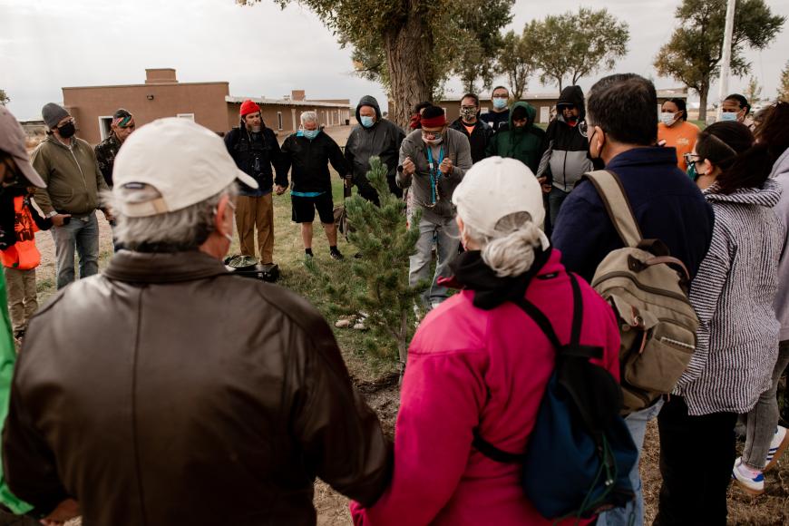 Tree planting ceremony
