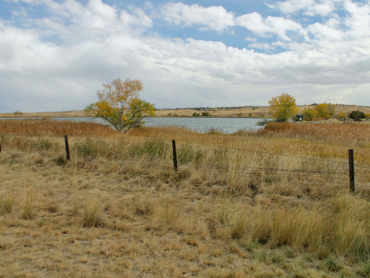 picture of a field.