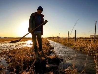 Acequia Work