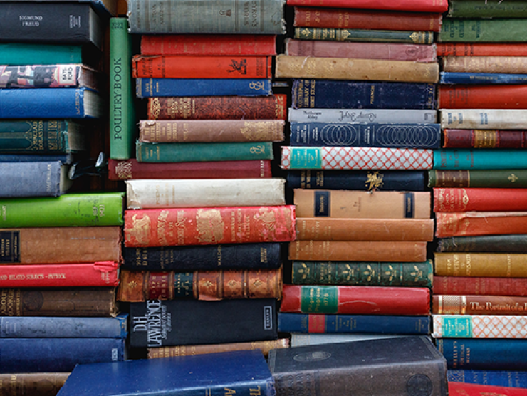A very small picture of many books