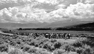 photo of protest